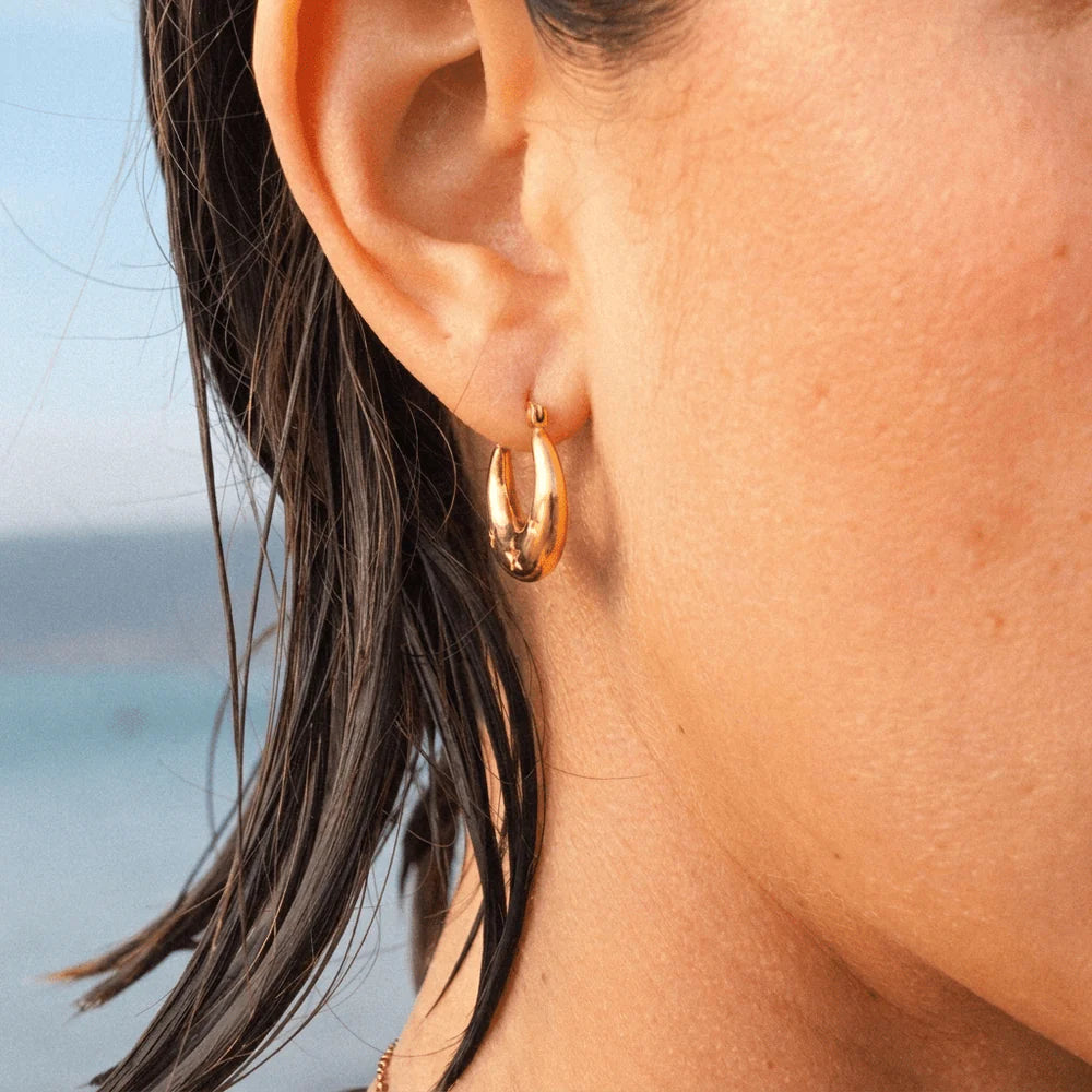 Moon and Star Hoops