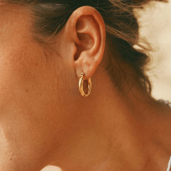 Cobra Hoops